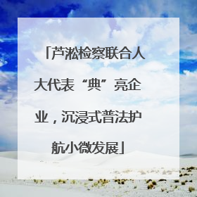 芦淞检察联合人大代表“典”亮企业，沉浸式普法护航小微发展